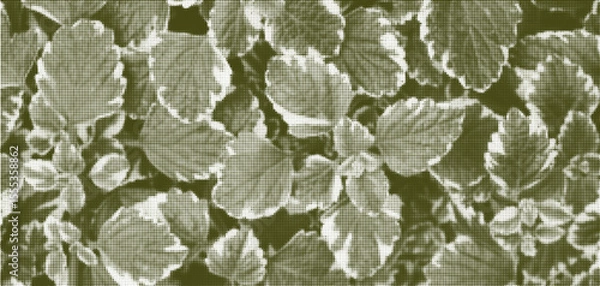 Fototapeta Abstract spring green and white leaves pattern dotted halftone vector background. Monochrome meadow botanical geometric half tone dots textured print for banner, cover, texture, surface design