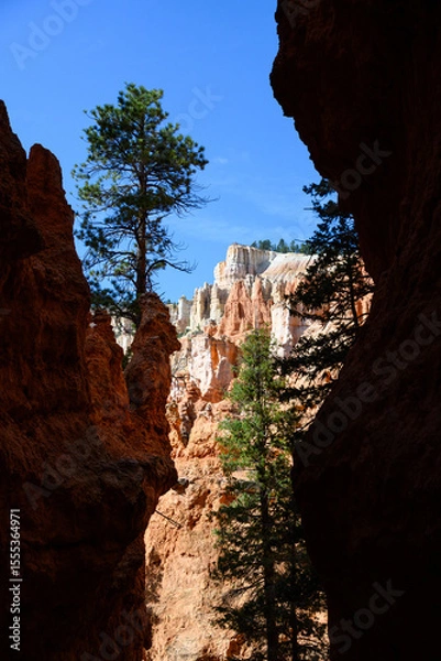 Obraz View through a slot canyon of pine trees and valley wall of white and orange hoodoos with viewpoint on top with people, summer vacation exploring in Bryce Canyon National Park, Utah
