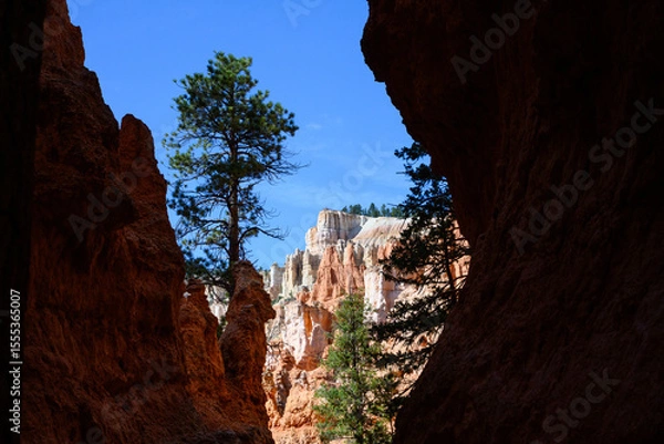 Obraz View through a slot canyon of pine trees and valley wall of white and orange hoodoos with viewpoint on top with people, summer vacation exploring in Bryce Canyon National Park, Utah
