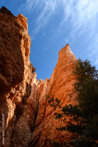 Obraz Looking up at dramatic rock spire hoodoo with blue sky and wispy white clouds above, summer vacation exploring in Bryce Canyon National Park, Utah

