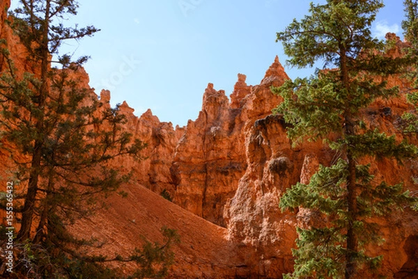 Obraz Looking up from base of the amphitheater on queens trail at dramatic orange rock hoodoos, summer vacation exploring in Bryce Canyon National Park, Utah
