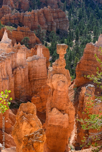 Obraz Thor’s Hammer rock formation and other hoodoos in morning light, summer vacation exploring in Bryce Canyon National Park, Utah
