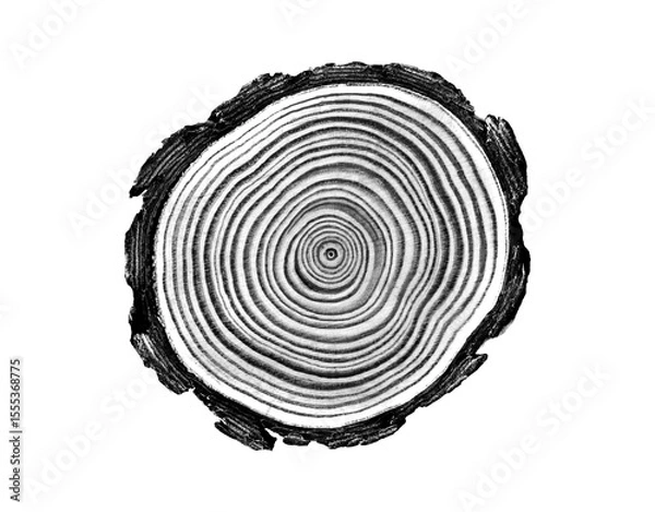 Fototapeta Black and white stamp of wood texture of tree rings from a slice of log. Negative image of cut tree slice, isolated on white background