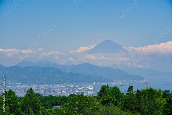 Obraz 日本平から望む富士山