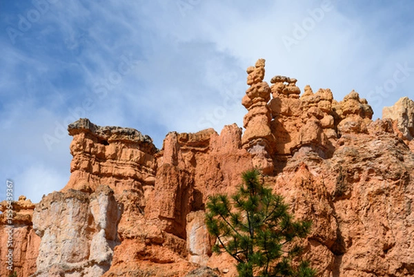 Obraz Looking up from base of the amphitheater on queens trail at dramatic orange rock hoodoos, summer vacation exploring in Bryce Canyon National Park, Utah
