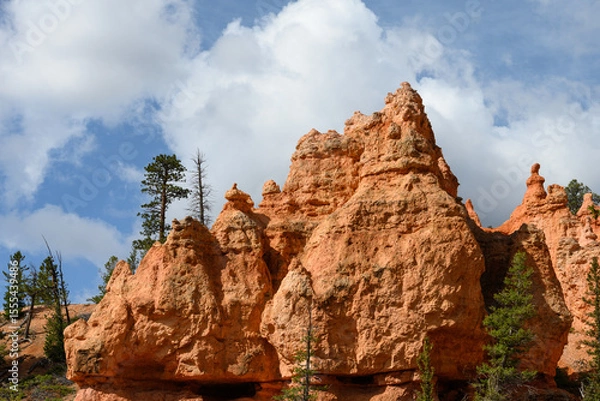 Obraz Looking up from base of the amphitheater on queens trail at dramatic orange rock hoodoos, summer vacation exploring in Bryce Canyon National Park, Utah
