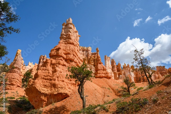 Obraz Looking up from base of the amphitheater on queens trail at dramatic orange rock hoodoos, summer vacation exploring in Bryce Canyon National Park, Utah
