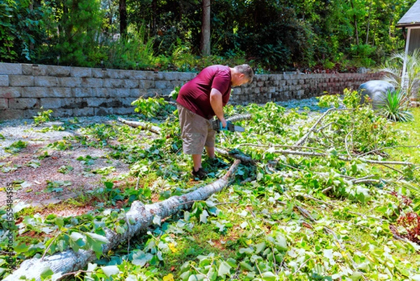 Fototapeta Man cleaning up fallen tree branches in backyard during after storm in residential suburban location