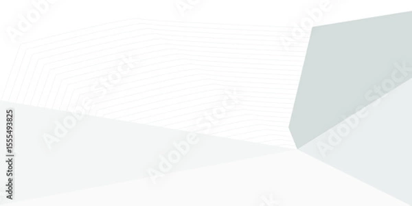 Obraz grey light abstract white line background modern design Vector illustration