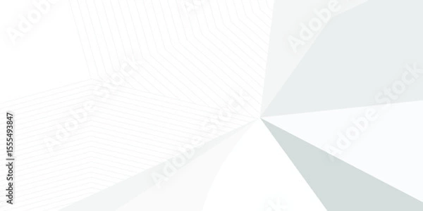 Obraz grey light abstract white line background modern design Vector illustration