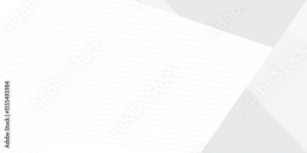 Obraz grey light abstract white line background modern design Vector illustration