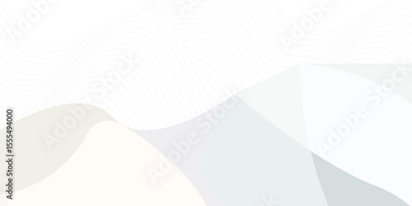 Obraz grey light abstract white line background modern design Vector illustration