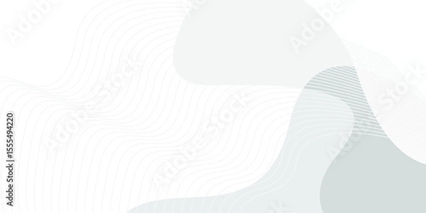 Obraz grey light abstract white line background modern design Vector illustration