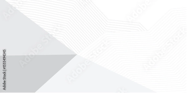 Obraz grey light abstract white line background modern design Vector illustration