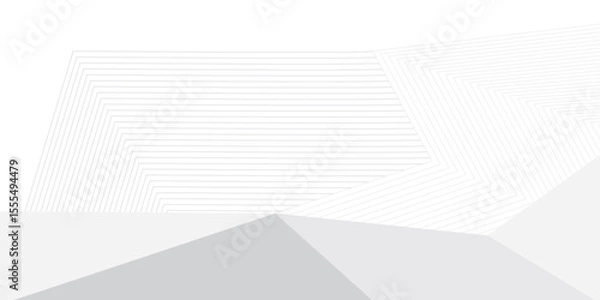Obraz grey light abstract white line background modern design Vector illustration