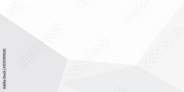 Obraz grey light abstract white line background modern design Vector illustration