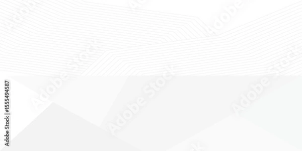 Obraz grey light abstract white line background modern design Vector illustration