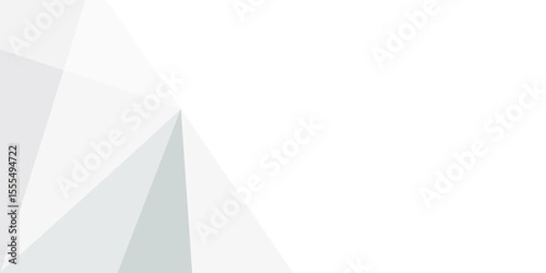 Obraz grey light abstract white line background modern design Vector illustration