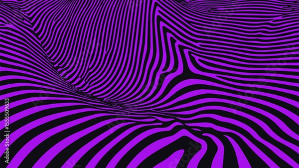 Obraz Vector illustration displays abstract, wavy black lines over a vibrant purple background. The image follows the optical art (op-art) style, which is popular for its bold, psychedelic patterns.