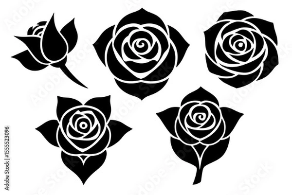 Fototapeta set of Rose vector silhouette illustration isolated on white background