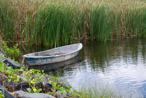 Obraz An old ship is anchored beside the reeds