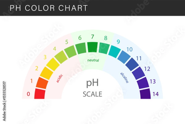 Fototapeta PH Scale. Gauge for acid and alkaline balance. Scale indicator for litmus paper test. Flat Vector illustration.