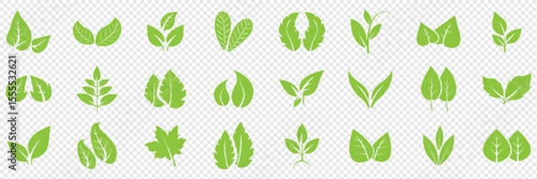 Obraz Green leaf icons set. Leaves icon on isolated background. Collection green leaf. Elements design for natural, eco, vegan, bio labels. Vector illustration EPS 10