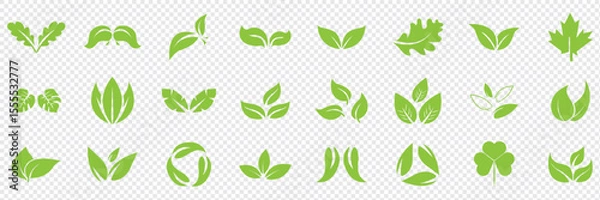 Obraz Green leaf icons set. Leaves icon on isolated background. Collection green leaf. Elements design for natural, eco, vegan, bio labels. Vector illustration EPS 10