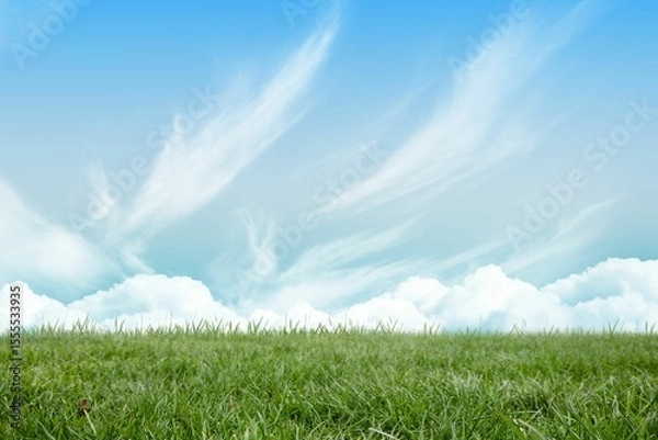 Fototapeta Grass field is stretching across flat design meadow, with cumulus and cirrus clouds in blue sky