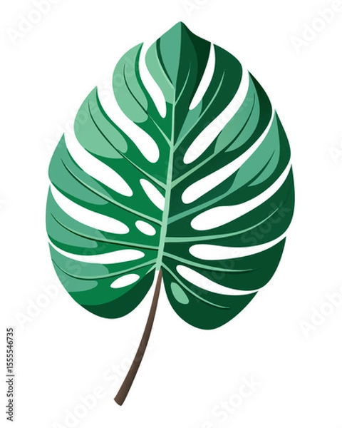 Fototapeta vector illustration of a single Monstera deliciosa leaf with detailed fenestrations, realistic texture and shadows, isolated on white background

