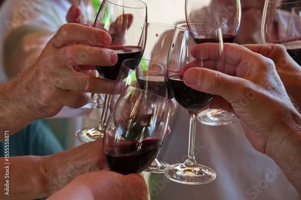 Obraz Closeup of people having toast with red wine