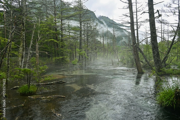 Obraz 上高地　雨あがり　朝の風景