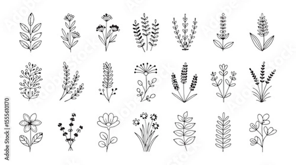 Fototapeta Collection of hand drawn botanical illustrations featuring various flowers and leaves in a simple line art style silhouette