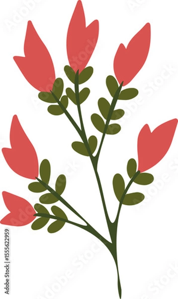 Obraz red rose isolated on white background