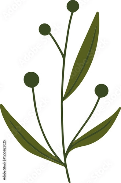 Obraz olive branch with leaves