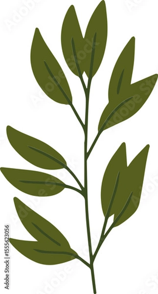 Obraz green leaves vector