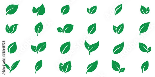 Fototapeta Green leaf vector icons. Green eco leaves icons. Simple linear leaves of trees and plants. Green leaves collection. Ecology leaf element.