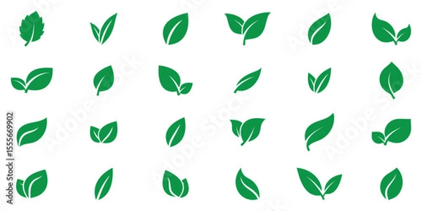 Fototapeta Green leaf vector icons. Green eco leaves icons. Simple linear leaves of trees and plants. Green leaves collection. Ecology leaf element.