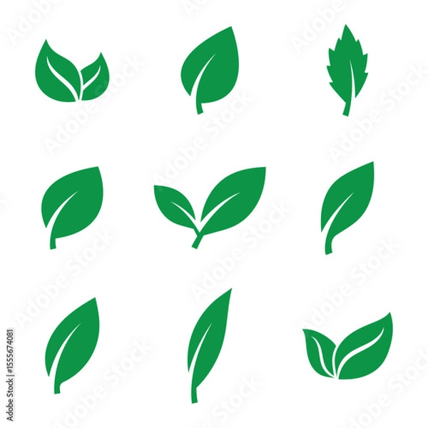 Obraz Green leaves icons set isolated on white background vector illustration. Vegan, tree, plant, fresh, energy and healthy nutrition concept. EPS 10