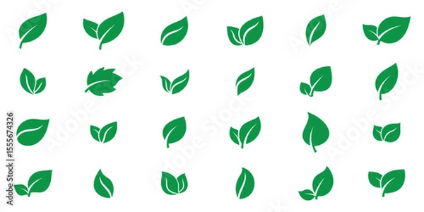 Obraz Green leaves icons set isolated on white background vector illustration. Vegan, tree, plant, fresh, energy and healthy nutrition concept. EPS 10