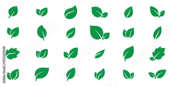 Obraz Green leaf icons set vector illustration. Collection green leaf icon