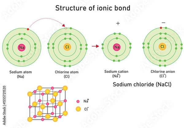 Fototapeta An infographic illustrating the ionic bonding structure and ionic cube of sodium chloride (NaCl).