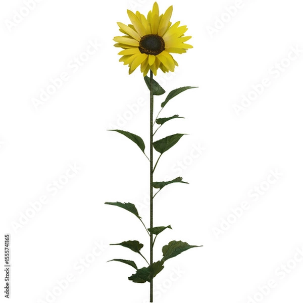 Obraz Realistic 3D Sunflower Plant with Green Leaves Isolated on Transparent Background