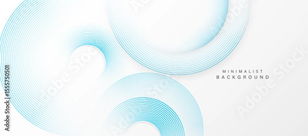 Obraz Abstract minimalist background with concentric circular lines.