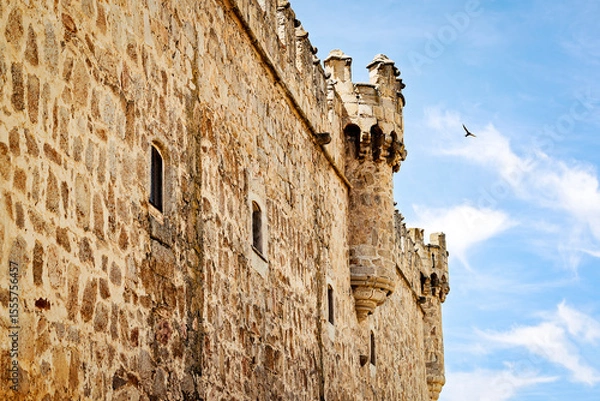 Obraz Ancient castle wall
