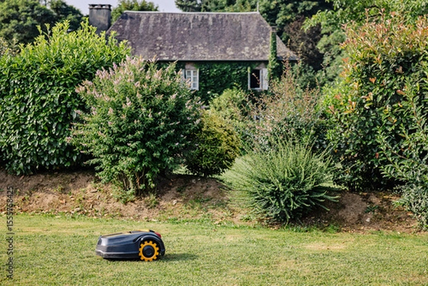 Obraz Lawn mower on the lawn