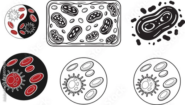 Obraz Blood Cell Vector Icon | Black and White Hematology Symbol on Blank Background

