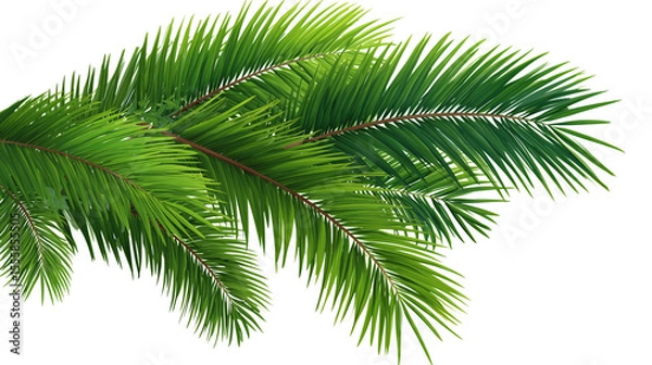 Fototapeta Pine Branch with Green Needles on Transparent Background