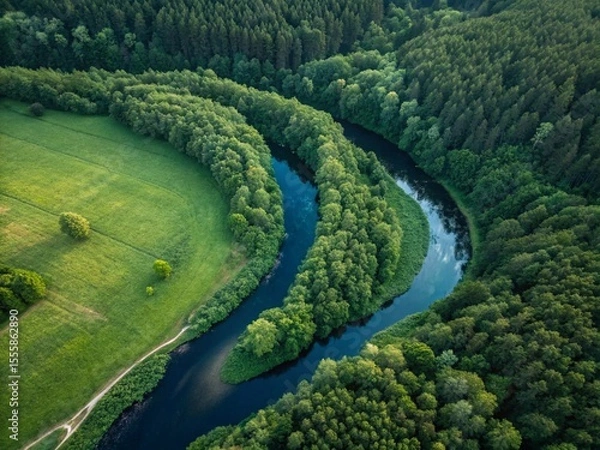 Fototapeta Serpentine river meanders through lush green forest and fields, showcasing a breathtaking aerial view of nature's beauty.