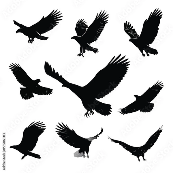 Fototapeta vector illustration of an eagle
